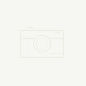 銅芯交聯(lián)聚乙烯絕緣聚氯乙烯護(hù)套編織屏蔽阻燃C類變頻電力電纜