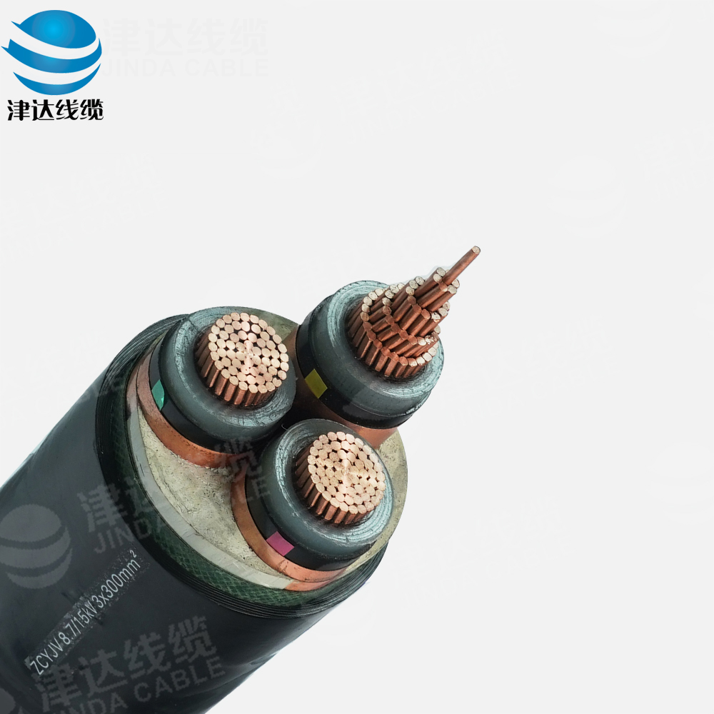 ZC-YJV 3*300銅芯交聯(lián)聚乙烯絕緣聚氯乙烯護(hù)套阻燃C類電力電纜